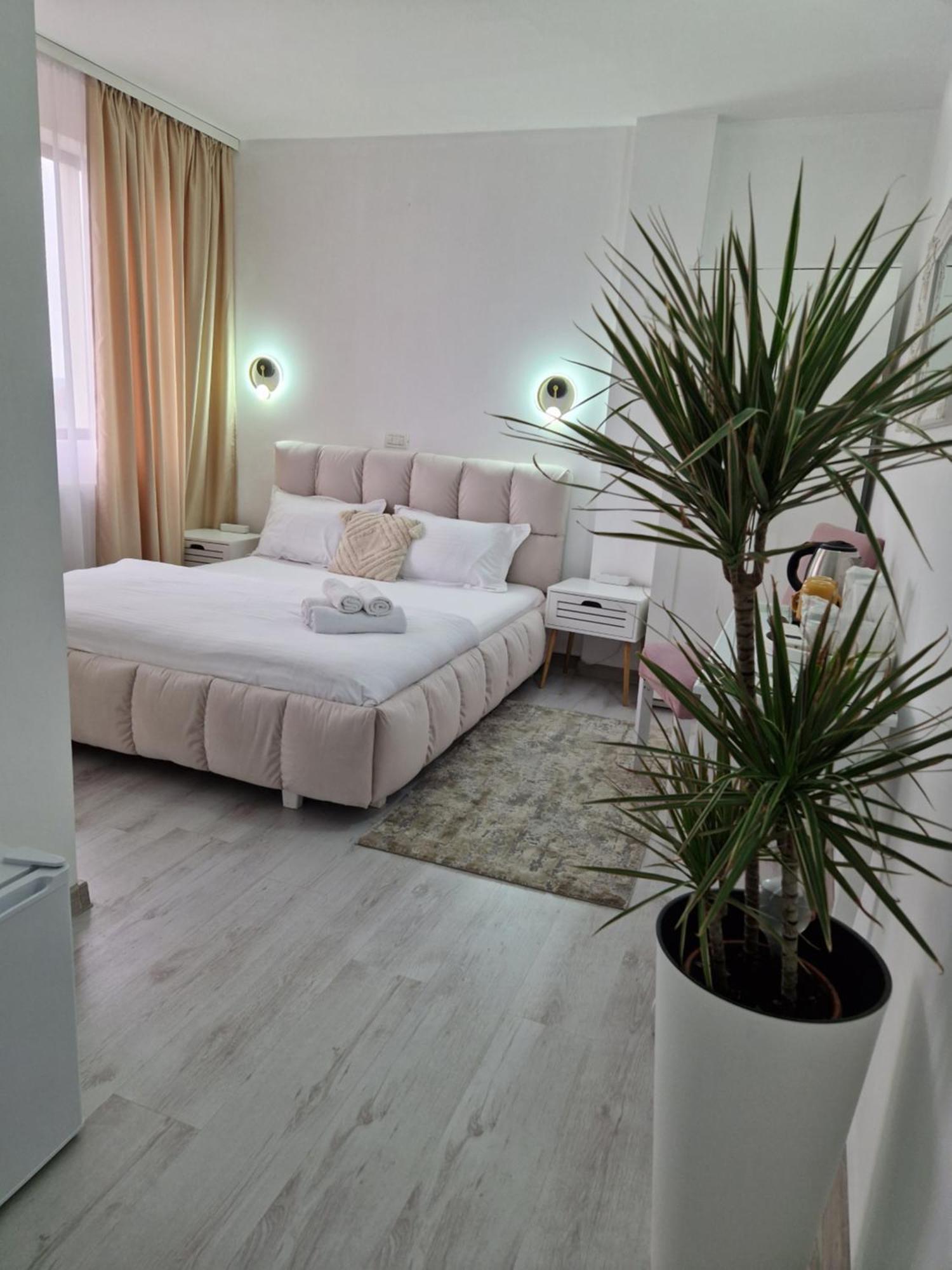 Caprice Deluxe Accomodation دروبيتا تورنو سيفيرين الغرفة الصورة